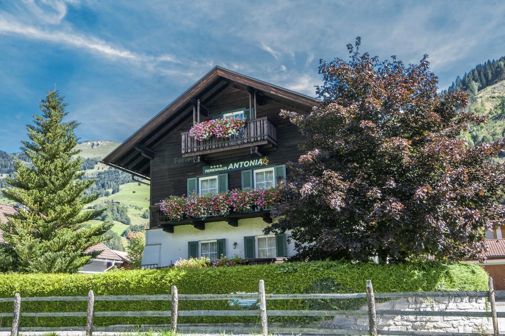 Ferienhaus Antonia Dorfgastein Ngoại thất bức ảnh